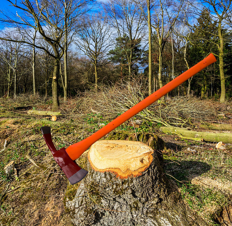 Do you know the carpenter's tools that only 